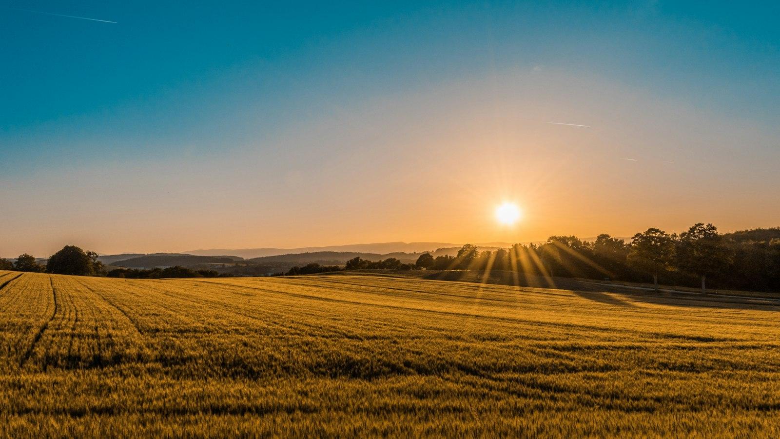 Open plot of land at sunset
